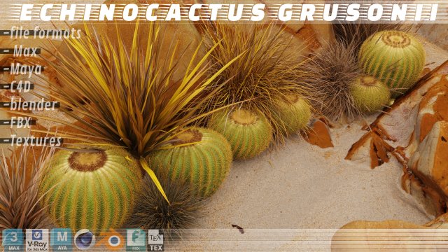 Echinocactus grusonii and weeds 3Dモデル .c4d .max .obj .3ds .fbx .stl .blend 