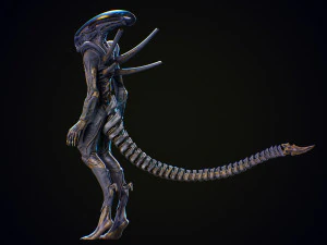 Alien 3D Model