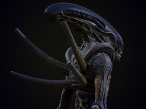 Alien 3D Model