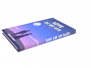 Book low poly Model 3D