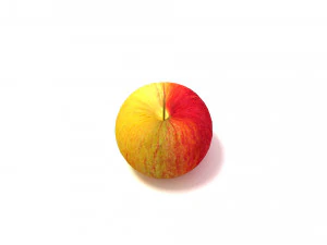 Apple 3D Model