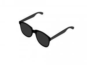 Sunglasses 3D Model