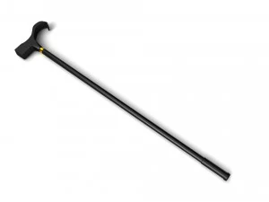 Walking stick 3D Model