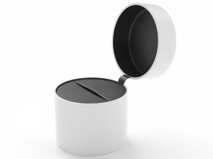 White Ring Box 3D Model