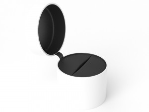 White Ring Box 3D Model