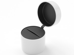 White Ring Box 3D Model