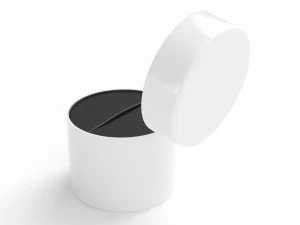 White Ring Box 3D Model