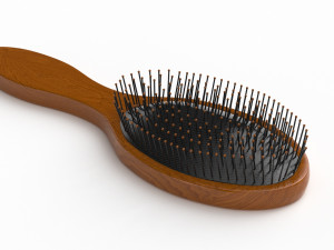 Hair Brushes Collection 3D 模型