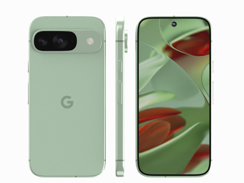 Google Pixel 9 Wintergreen 3D Model