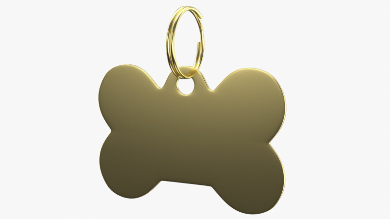 Dog Collar Tag 02 3D Model .c4d .max .obj .3ds .fbx .stl .blend 