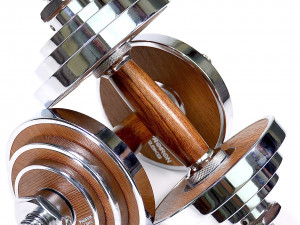 Steel with Walnut Handle 3D मॉडल