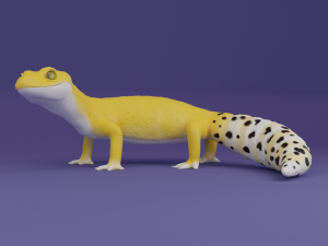 Leopard Gecko for printing figure 3D-Druckmodell