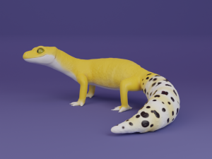 Leopard Gecko for printing figure 3D-Druckmodell