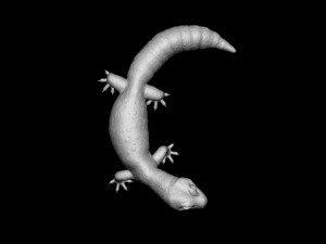 Leopard Gecko for printing figure 3D-Druckmodell