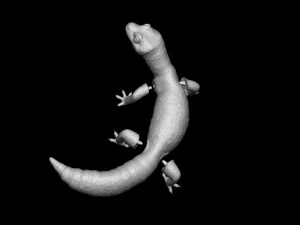 Leopard Gecko for printing figure 3D Print Model
