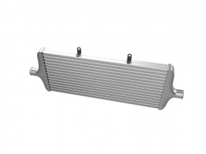 Automotive Intercooler 3D Print Model