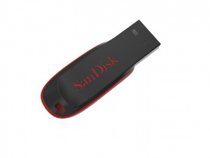 SanDisk Cruzer Blade 4GB Usb Stick 3D Baskı Modeli
