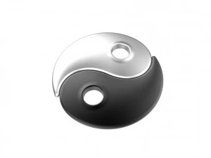 Yin Yang 3D Print Model