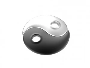 Yin Yang 3D Print Model