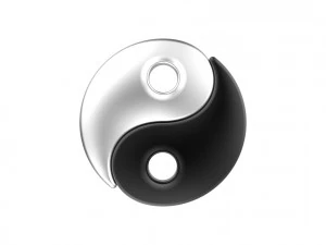 Yin Yang 3D Print Model