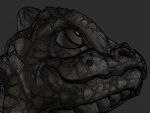 Baby Dragon 3D Print Model