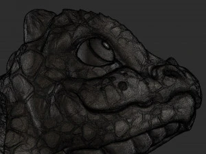 Baby Dragon 3D Print Model