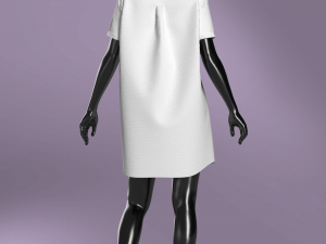 Woman Basic Shirt Dress Modeling in Clo3D - Marvelous Designer Modello 3D