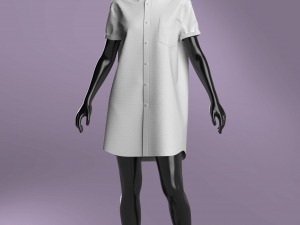 Woman Basic Shirt Dress Modeling in Clo3D - Marvelous Designer Modello 3D