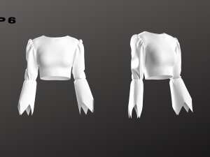 Woman Top Set - 6 Pieces - Blouse Modello 3D