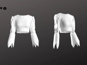 Conjunto Top Mulher - 6 Pe&ccedil;as - Blusa Modelo 3D