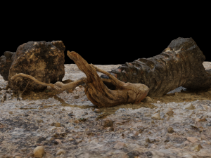 Campfire High Quality 3D 模型