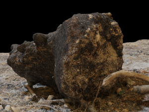 Campfire High Quality 3D 模型