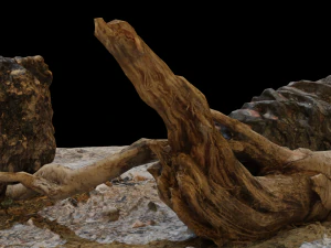 Campfire High Quality 3D Model