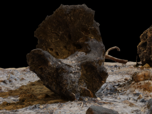 Campfire High Quality 3D 模型