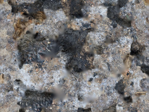 Campfire High Quality 3D 模型