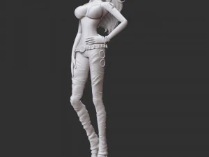 One Piece - Nami 3D Print Model
