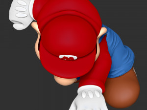 The Super Mario 3D-Druckmodell