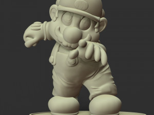 The Super Mario 3D-Druckmodell