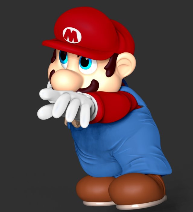 The Super Mario 3D Print Model