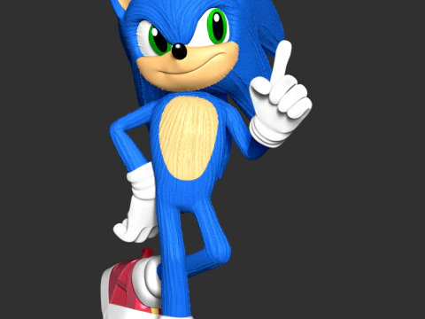 The Sonic 3D Print Model