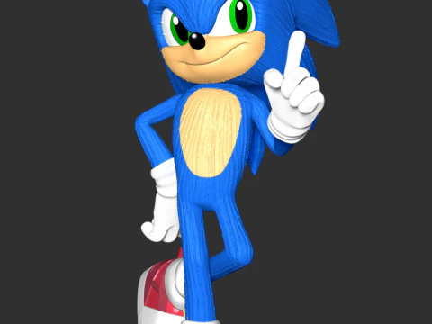 The Sonic 3D Print Model