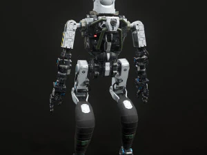 Combat Robot 3D Model