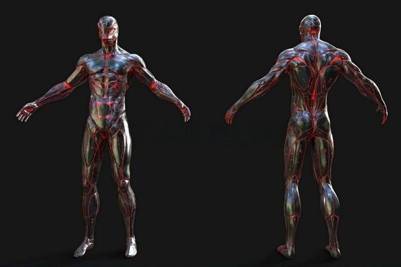 Nano-Cyborg 3D Model .c4d .max .obj .3ds .fbx .stl .blend 