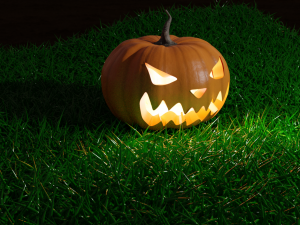 Festive halloween pumpkin 3D Model