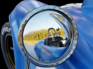 Shelby Cobra car 3D Model