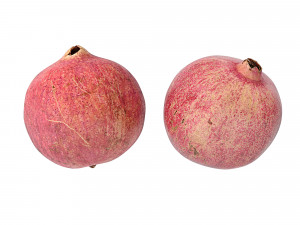 Pomegranate 3D-Modell