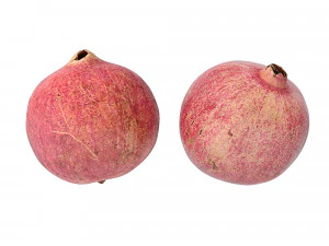 Pomegranate 3D Model