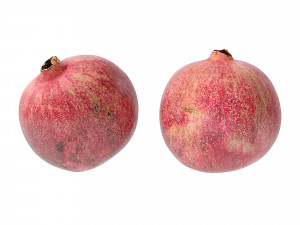 Pomegranate 3D-Modell