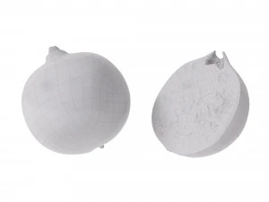 Pomegranate 3D Model