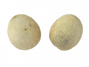 Melons Modèle 3D